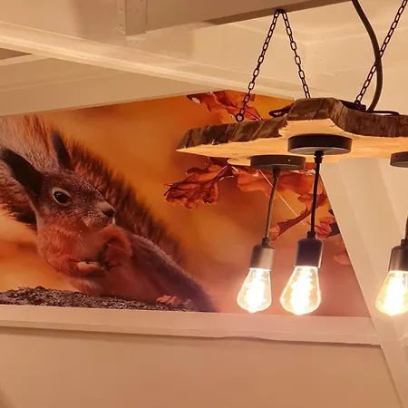 Chalet Cozy Ardennes Near Durbuy Durbuy