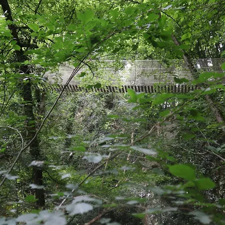 Cozy Ardennes Near Durbuy Chalet