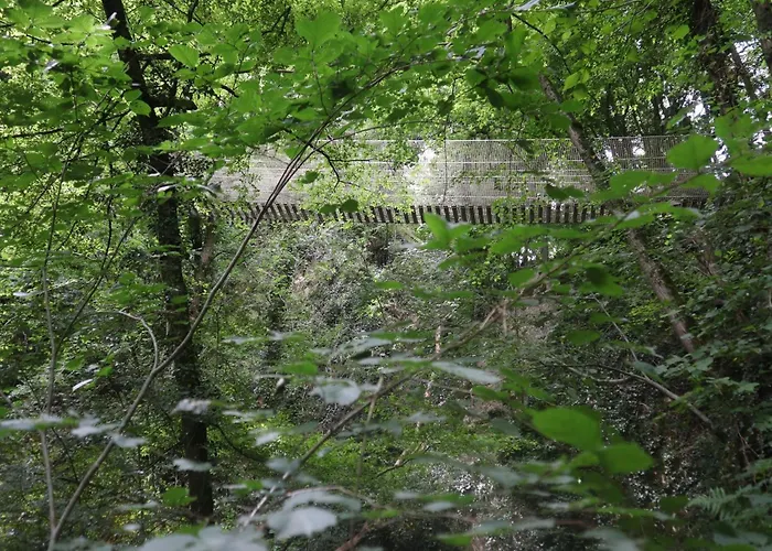 Cozy Ardennes Near Durbuy Chalet